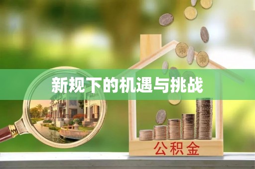 滁州新规下的机遇与挑战