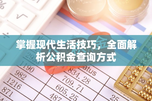 滁州掌握现代生活技巧，全面解析公积金查询方式