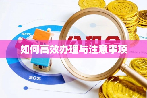 滁州如何高效办理与注意事项
