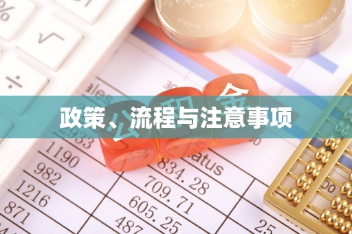 滁州政策、流程与注意事项
