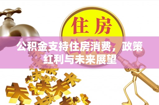滁州公积金支持住房消费，政策红利与未来展望