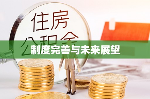 滁州制度完善与未来展望