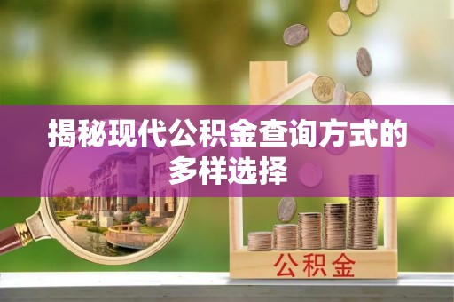 滁州揭秘现代公积金查询方式的多样选择