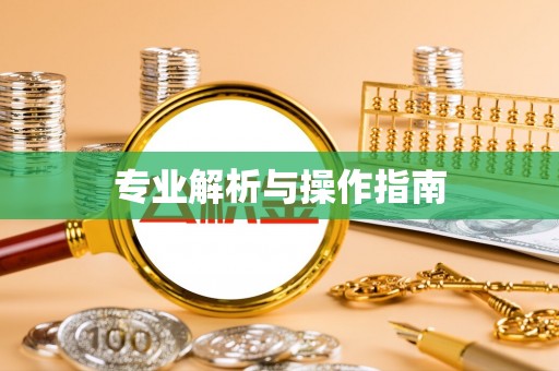 滁州专业解析与操作指南