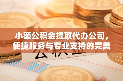 滁州小额公积金提取代办公司，便捷服务与专业支持的完美结合